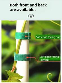 10M Reusable Garden Tie Tape - Dual Sided Plant Support Straps For Climbing Vines, Tomato & Branches Green Plant Hook And Loop Straps 10M Roll|Adjustable Trunk Support Tape For Outdoor Gardening & Flower Binding Garden Straps 10M|Weatherproof Plant Training Tape For Vine Shaping & Cable Management