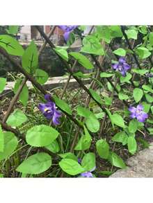 2 piezas Pantalla de privacidad expandible de hiedra artificial y orquídea - Verde frondoso con flores moradas y orquídeas blancas, barrera decorativa de plástico resistente a la intemperie para interior/exterior, adecuada para jardín, patio, boda, Día de la Madre y decoración de junio, mejora la estética del jardín | Paneles de fácil instalación, cerca decorativa de jardín - Multicolor - Ver 10