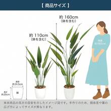 Artificial Plant