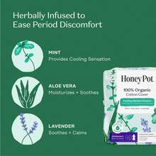 The Honey Pot Company 100% Organic Cotton Cover Cooling Herbal Infusion Overnight Pads - 12ct - 1 - 查看 7