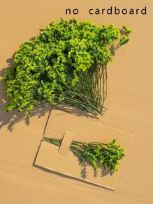 25/50/100/300 件春季花束新品，小满天星残留茎，天然满天星，婚礼装饰，贺卡。