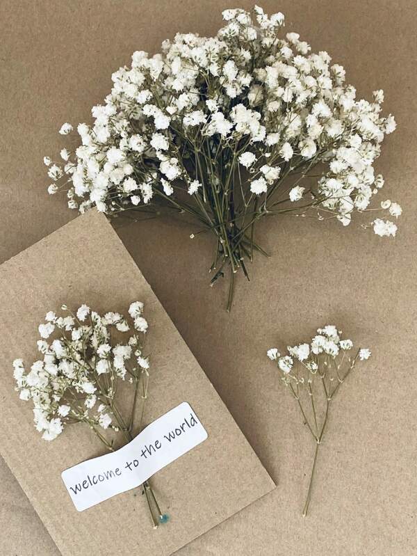 25/50/100/300 Stücke Mini Schleierkraut Blumen und andere getrocknete Blumen - für Harz Gießformen Kunsthandwerk, elfenbeinweiße Blumen Bouquet für Haarzubehör, Hochzeitskranz, Tischvase, Heimdekoration