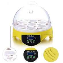 Egg Trays & Baskets - Yellow - View 10
