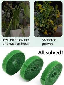 10M Reusable Garden Tie Tape - Dual Sided Plant Support Straps For Climbing Vines, Tomato & Branches Green Plant Hook And Loop Straps 10M Roll|Adjustable Trunk Support Tape For Outdoor Gardening & Flower Binding Garden Straps 10M|Weatherproof Plant Training Tape For Vine Shaping & Cable Management