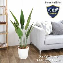 Artificial Plant