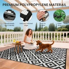 Sour Lemon Large Outdoor Rug, Outdoor Rugs Garden Rugs, Garden Mat For Patio, Easy Cleaning Patio Mat For Camping, Deck, Beach, Picnic-180x270cm - BlackWhite - View 2