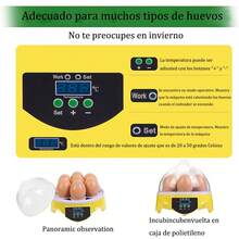 Egg Trays & Baskets - Yellow - View 3