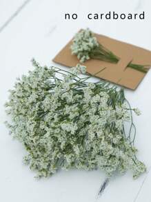 25/50/100/300pcs Preserved Baby's Breath Flowers, For Aromatherapy, Floral Arrangements, Home Decor, Hair Accessories, Wedding Wreaths