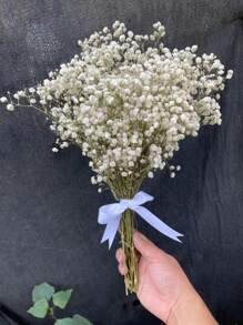 Ramo de flores de Flor de Novia preservadas naturalmente - 10/20 tallos, longitud de 45 cm, flores secas de larga duración para la decoración de bodas, arreglos para el hogar, regalos de cumpleaños, con cinta (garantía de 3 años de color)