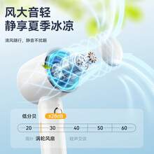 Handle Fans - Rosa - Ver 4