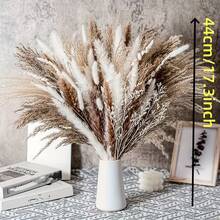 40" Inch 30 Stems Natural Pampas Grass Decor Tall, Pampas Grass, Tall Pampas Grass For Wedding, Party, Farmhouse, Boho Home Decor - Multicolor - View 14