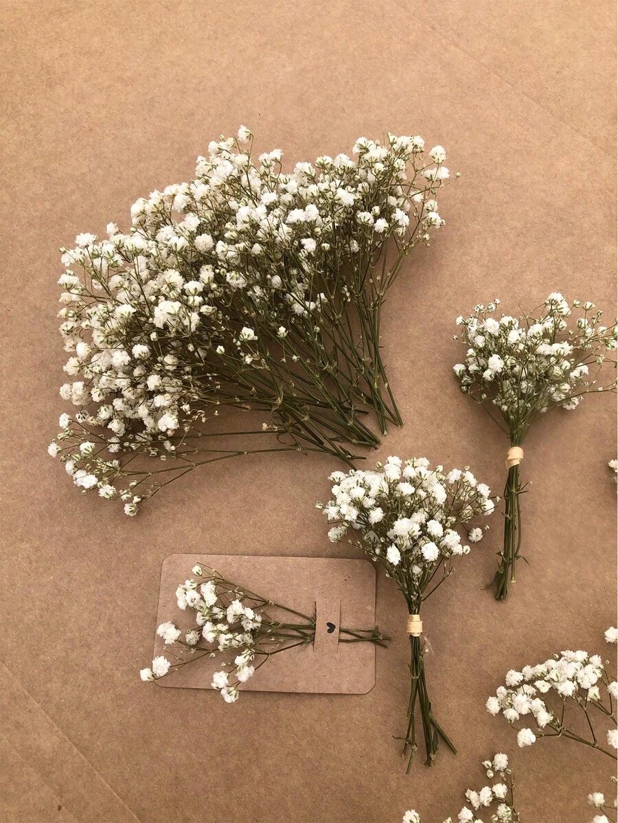 50/100/300pcs Natural Dried Baby's Breath Flowers - Elegant Preserved Baby's Breath, Suitable For Home, Office, Wedding, Christmas, Halloween Party, Crafts, Maintenance-Free, Suitable For 14+ Years Old (No Paper Card)