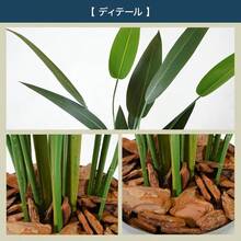 Artificial Plant