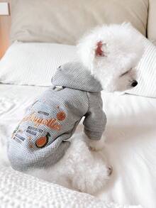 1件宠物衣服，狗狗/猫咪服装，小型犬可爱装扮，保暖舒适的小型宠物卫衣，适合秋冬季穿着 - 灰色 - 查看 1