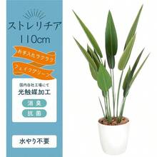 Artificial Plant