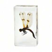 50+ Pcs Large (7.3cm) Transparent Resin Insect Stag Beetle, Spider, Scorpion, Rhinoceros Beetle, Hornet, Wasp Model, Spider Octagon Monster Creative Bookend Decor, Primitive Forest Giant Arthropod Centipede Model, Magical Nature Real Rare Various Insects, High Transparency Permanent Preserved Transparent Resin Natural Insect Creative Small Decor, Gift - Multicolor - View 13