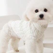 1pc Pet Dog/Cat Turtleneck Sweater, Soft Knitted Warm Clothing For Dogs, Suitable For Autumn/Winter, Poodle, Bichon Frise, Corgi