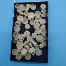 50pcs/Set Teeth Whitening Strips, Simple & Convenient, Suitable For All Tooth Shapes To Enhance Confidence & Smile Appeal - Multicolor - View 8