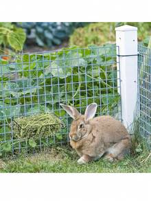 Rabbit Hay Feeder 2/3/4 Pieces Hanging Hay Rack Metal Rack Hay Rack Small Animal Hay Rack With Hook For Guinea Pigs Rabbits Chinchillas (Black)