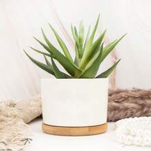 Custom Wedding Gifts,Couple's Name Plant Pot, Anniversary Gifts, Flower Pot For Couple, Engagement Gifts,Gifts For Mom/Wife/Woman Birthday Graduation - White - View 10