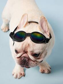 PETSIN 1 件裝寵物可折疊太陽眼鏡紫外線護目鏡適合狗和貓