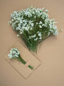 25/50/100/300pcs Preserved Baby's Breath Flowers, For Aromatherapy, Floral Arrangements, Home Decor, Hair Accessories, Wedding Wreaths