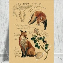 1 件,自然研究红狐/龙/象/凤凰/夜骐/狼/野兔海报印刷品牛皮纸复古家居房间装饰墙画可选框架 - 彩色 - 查看 40