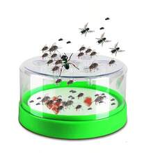 Fly Catching Artifact Hotel Home Silent Fly Cage Sweeps Away All Flies Without Electricity Fly Box - màu xanh lá - Xem 3