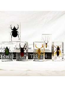 50+ Pcs Large (7.3cm) Transparent Resin Insect Stag Beetle, Spider, Scorpion, Rhinoceros Beetle, Hornet, Wasp Model, Spider Octagon Monster Creative Bookend Decor, Primitive Forest Giant Arthropod Centipede Model, Magical Nature Real Rare Various Insects, High Transparency Permanent Preserved Transparent Resin Natural Insect Creative Small Decor, Gift - Multicolor - View 9