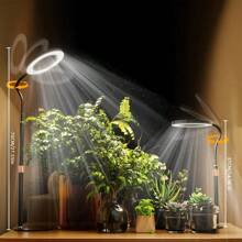 Grow Light LED Plant Light For Indoor Plants Growing Full Spectrum Desk Grow Lamp With Pedestal Automatic Timer For 3H/9H/12H 10 Dimmable Levels, Height Adjustable