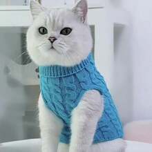 1pc Pet Dog/Cat Turtleneck Sweater, Soft Knitted Warm Clothing For Dogs, Suitable For Autumn/Winter, Poodle, Bichon Frise, Corgi