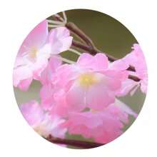 1 件 98 厘米 38.6 英寸人造红色樱花枝，真实触感假花束樱花枝长茎人造花适合高花瓶 DIY、婚礼派对复古装饰、现代农舍、家居卧室装饰 - 彩色 - 查看 5