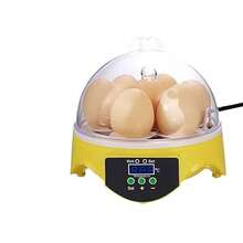Egg Trays & Baskets - Yellow - View 9