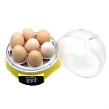 Egg Trays & Baskets - Yellow - View 3