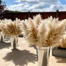 40" Inch 30 Stems Natural Pampas Grass Decor Tall, Pampas Grass, Tall Pampas Grass For Wedding, Party, Farmhouse, Boho Home Decor - Multicolor - View 11