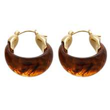 Resin U-Shaped Halo Dyed Earrings, European And American Retro Style Design Earrings, Exquisite And Niche Maillard Style Earrings, Women's Jewelry, Suitable For Daily Wear - 棕色 - 查看 3