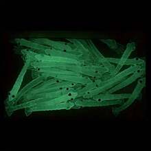 50pcs Luminous Soft Shrimp Bait Fishing Lures - Glow In The Dark Prawn Lure For Night Fishing - White - View 2