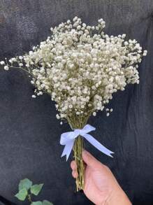 Ramo de flores de Flor de Novia preservadas naturalmente - 10/20 tallos, longitud de 45 cm, flores secas de larga duración para la decoración de bodas, arreglos para el hogar, regalos de cumpleaños, con cinta (garantía de 3 años de color)