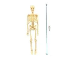 1pc Mini Human Skeleton Model, Full Body Realistic Bone Anatomy Toy, Educational Tool