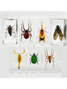 50+ Pcs Large (7.3cm) Transparent Resin Insect Stag Beetle, Spider, Scorpion, Rhinoceros Beetle, Hornet, Wasp Model, Spider Octagon Monster Creative Bookend Decor, Primitive Forest Giant Arthropod Centipede Model, Magical Nature Real Rare Various Insects, High Transparency Permanent Preserved Transparent Resin Natural Insect Creative Small Decor, Gift - Multicolor - View 8