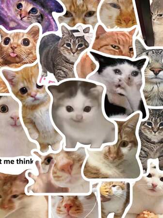50 pegatinas de gatos MEME para portátil, cuaderno, funda de teléfono, decoración divertida