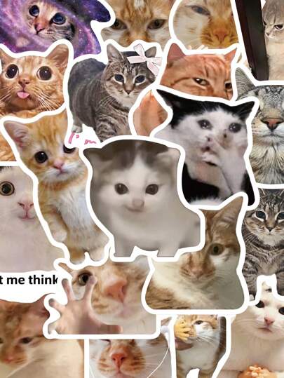 50 pegatinas de gatos MEME para laptop, cuaderno, funda de teléfono, decoración divertida