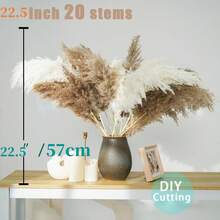 40" Inch 30 Stems Natural Pampas Grass Decor Tall, Pampas Grass, Tall Pampas Grass For Wedding, Party, Farmhouse, Boho Home Decor - Multicolor - View 12