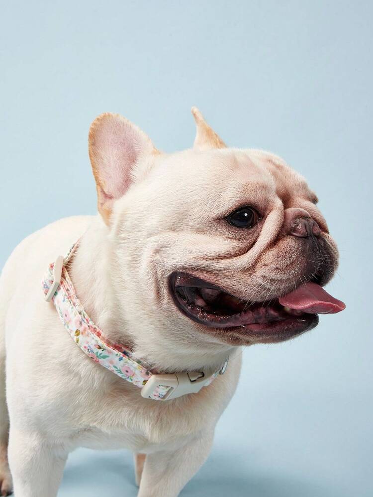 PETSIN 1 件经典花卉设计黄色、蓝色叶子和粉色花朵图案宠物项圈，适合小型/中型/大型犬，柔软可调节，配有米色塑料安全扣，室内和室外使用，非常适合男孩和女孩的宠物 - 彩色 - 查看 3