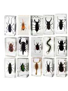 50+ Pcs Large (7.3cm) Transparent Resin Insect Stag Beetle, Spider, Scorpion, Rhinoceros Beetle, Hornet, Wasp Model, Spider Octagon Monster Creative Bookend Decor, Primitive Forest Giant Arthropod Centipede Model, Magical Nature Real Rare Various Insects, High Transparency Permanent Preserved Transparent Resin Natural Insect Creative Small Decor, Gift - Multicolor - View 10