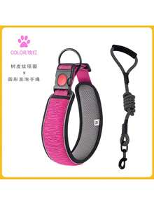 Pet Collars