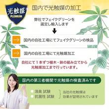 Artificial Plant