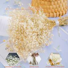 40" Inch 30 Stems Natural Pampas Grass Decor Tall, Pampas Grass, Tall Pampas Grass For Wedding, Party, Farmhouse, Boho Home Decor - Multicolor - View 13