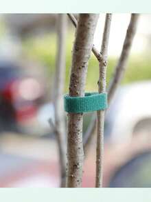 10M Reusable Garden Tie Tape - Dual Sided Plant Support Straps For Climbing Vines, Tomato & Branches Green Plant Hook And Loop Straps 10M Roll|Adjustable Trunk Support Tape For Outdoor Gardening & Flower Binding Garden Straps 10M|Weatherproof Plant Training Tape For Vine Shaping & Cable Management