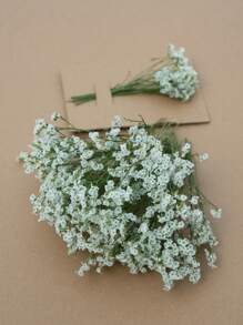 25/50/100/300pcs Preserved Baby's Breath Flowers, For Aromatherapy, Floral Arrangements, Home Decor, Hair Accessories, Wedding Wreaths